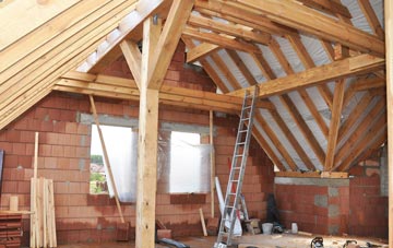 Tong Park attic trusses